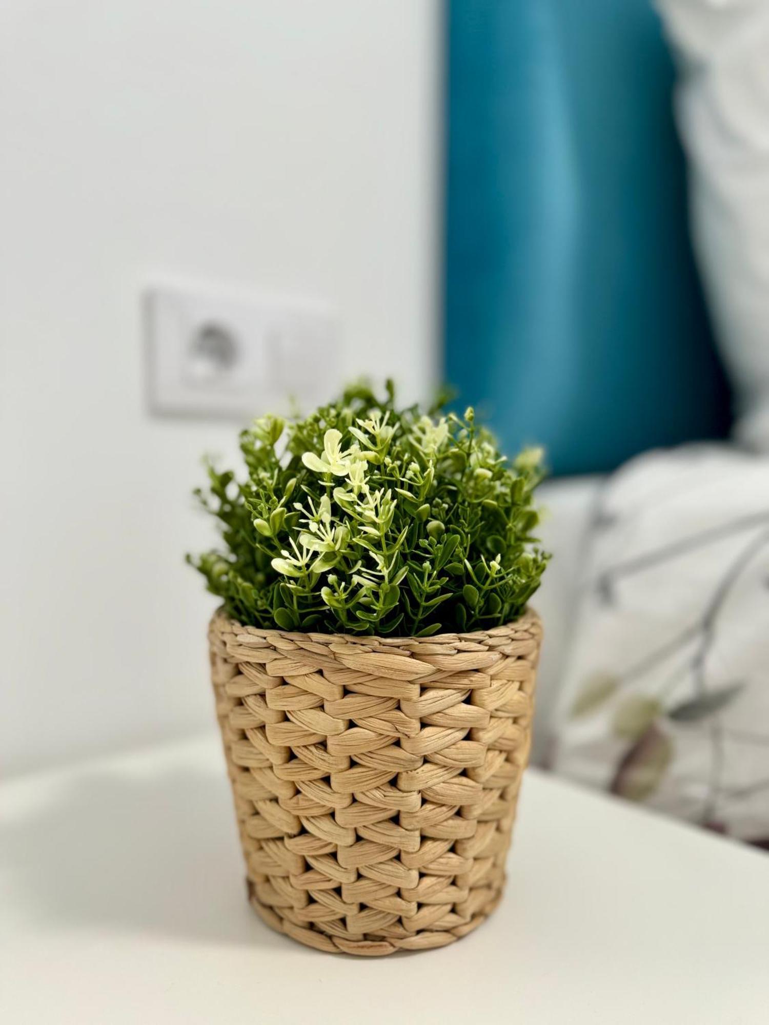 Apartamento Centrico Vigo Esterno foto